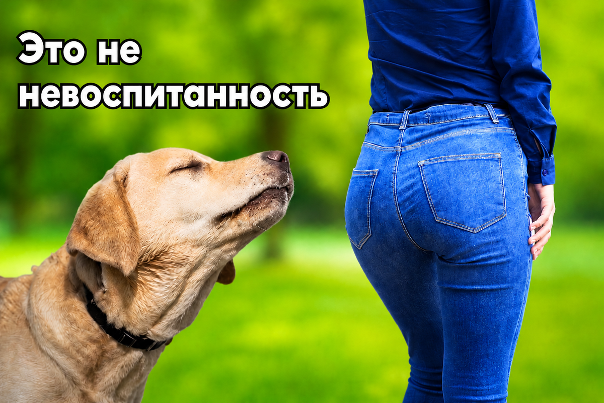 Это не плохие манеры