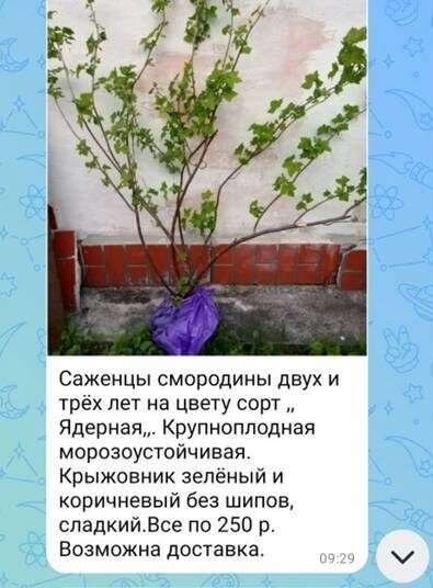 Скрин 