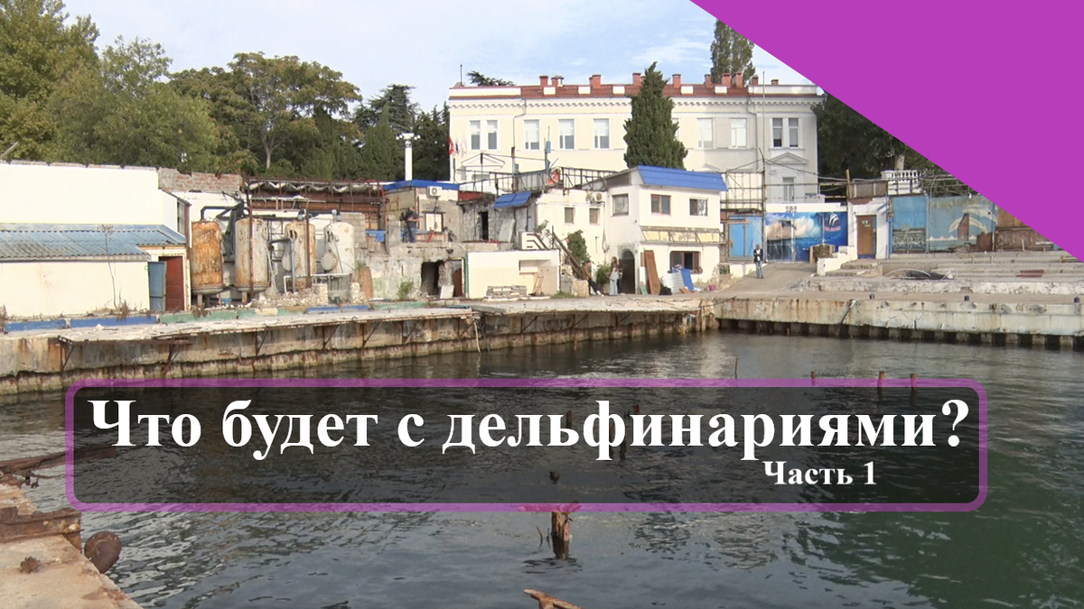 Дисклеймер: АНО "Лаборатория Афалина" предоставляет для авторов площадку для научно-популяризаторской деятельности в сфере интересов Организации с проверкой приведённой информации на достоверность. Позиция автора может не совпадать с позицией Организации. Организация не несёт ответственности за заявления автора, его мнение и субъективные взгляды.