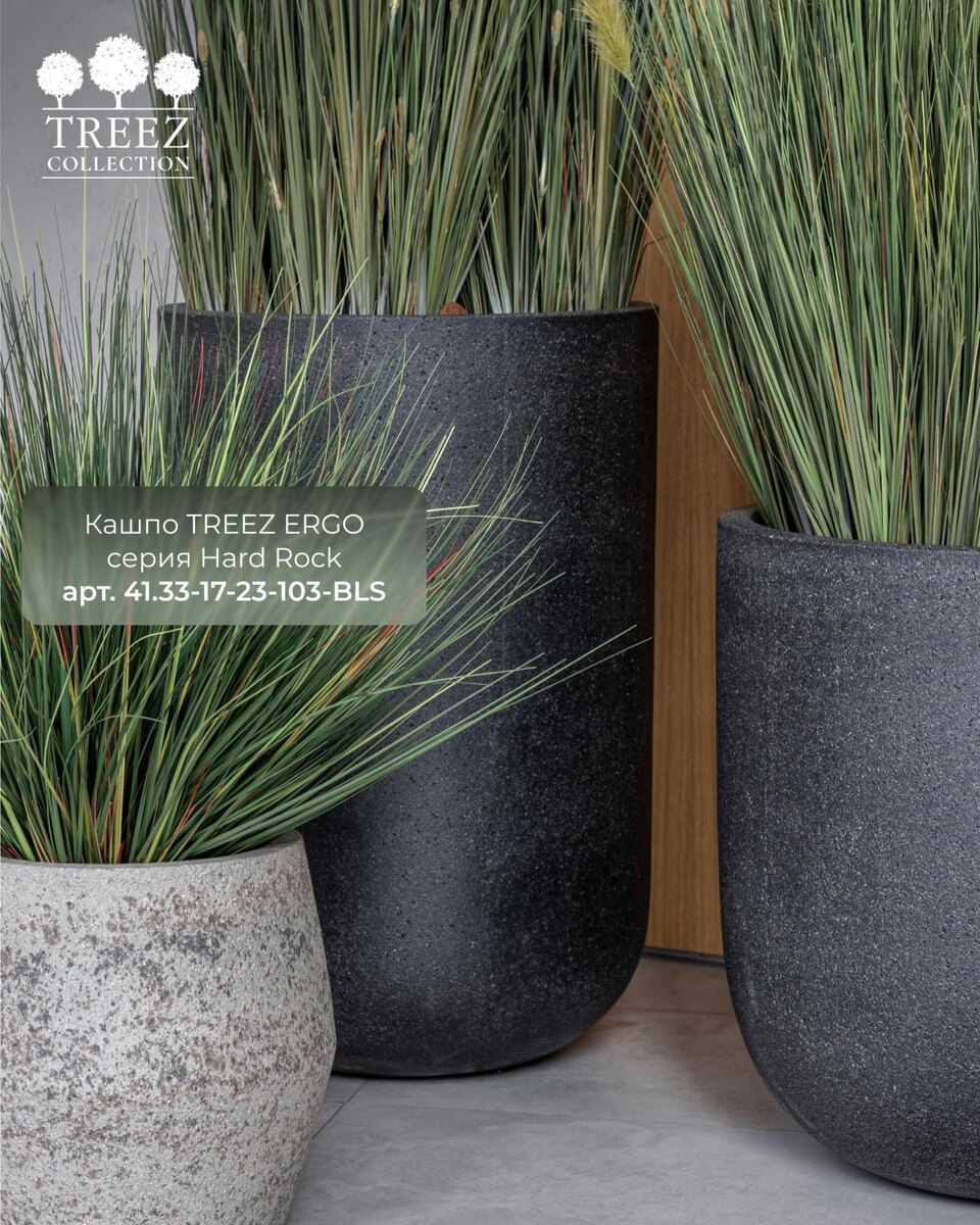 Кашпо и растения TREEZ Collection