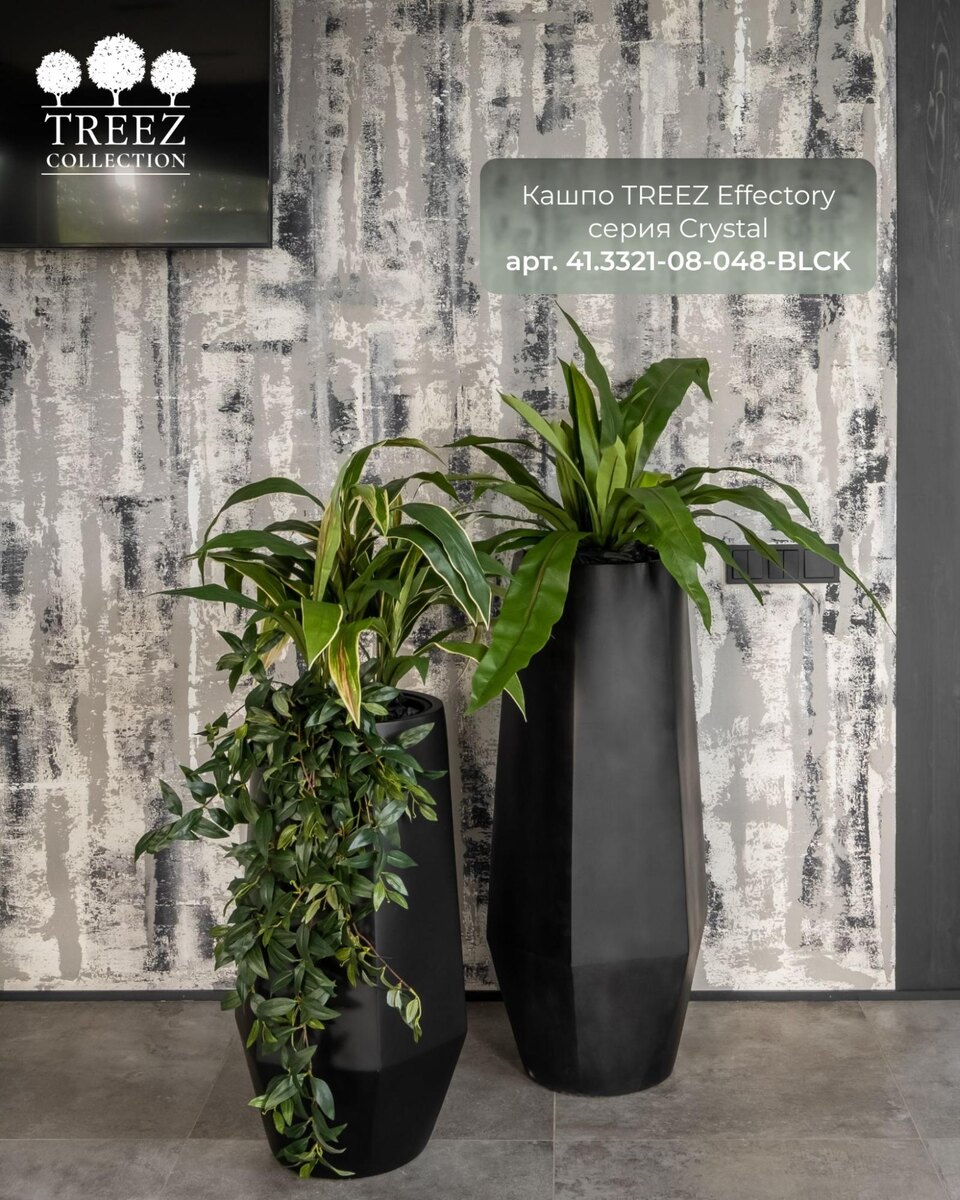 Кашпо и растения TREEZ Collection