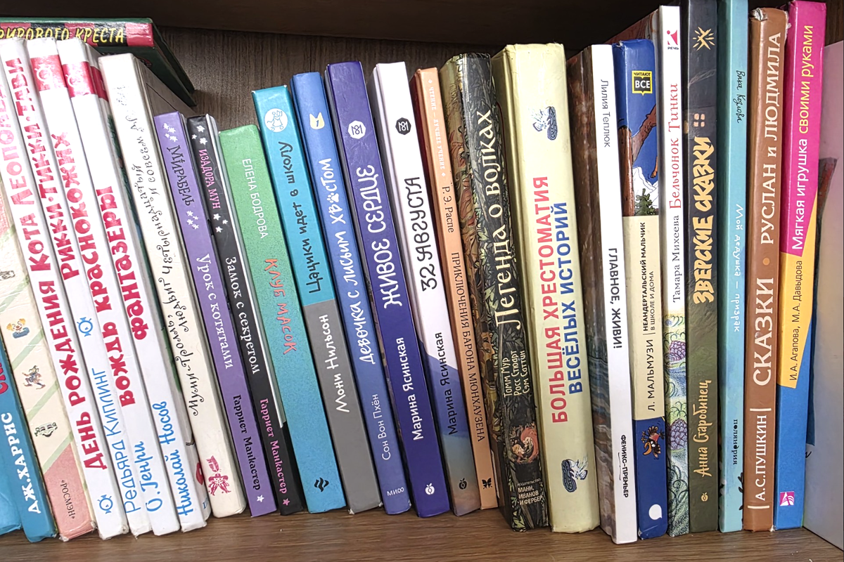 Книги на полке (фото автора статьи)