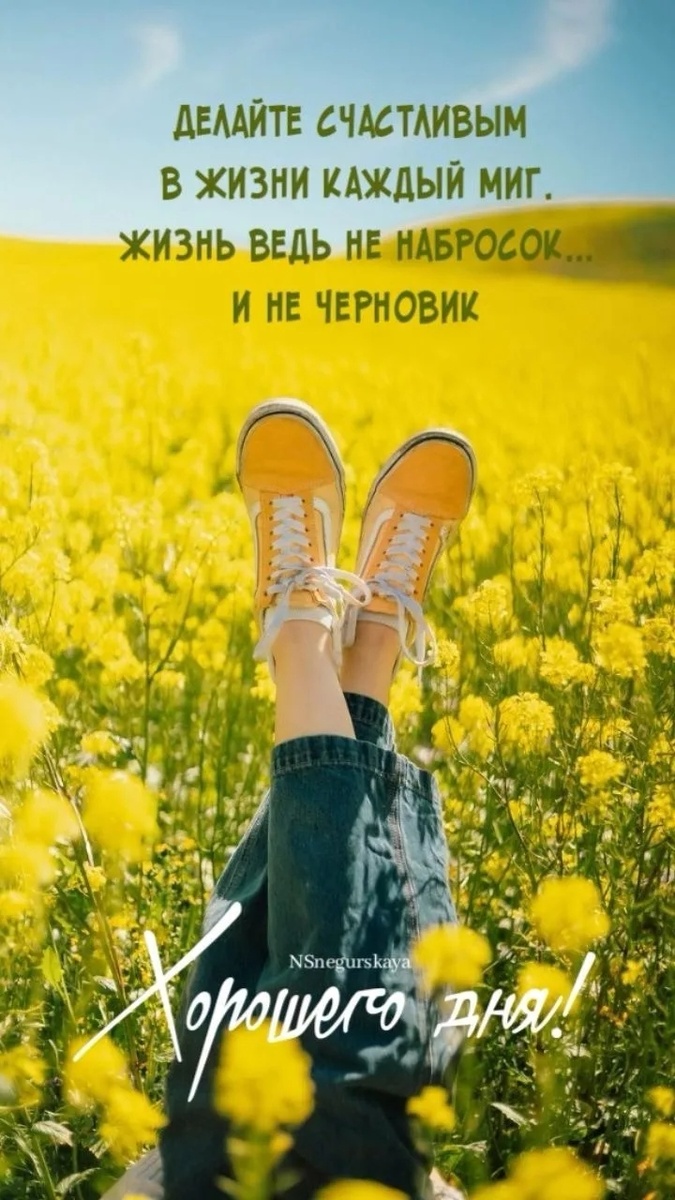 мое вам приветствие