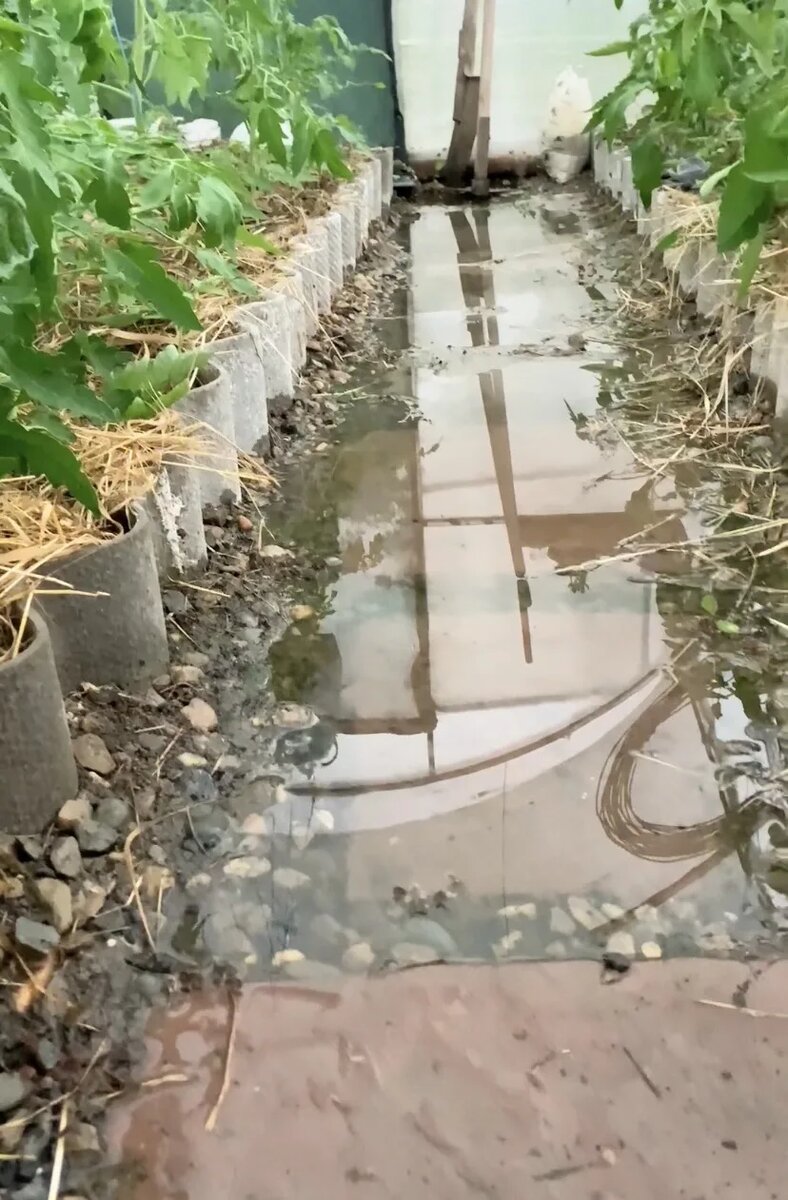 -1-3