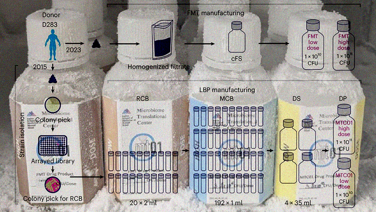 N + 1; Lukas Bethlehem et al. / Nature Medicine, 2026