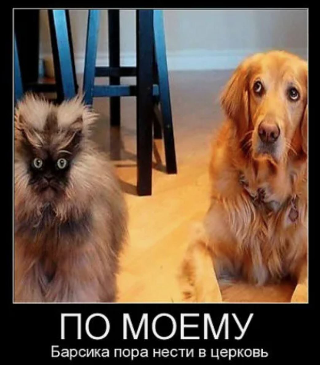 источник Яндекс-картинки