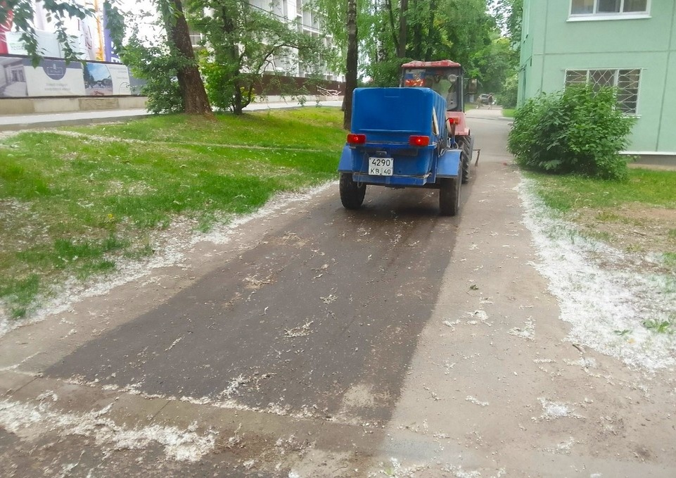    Пух, который лежал на тротуаре, так и остался на месте.