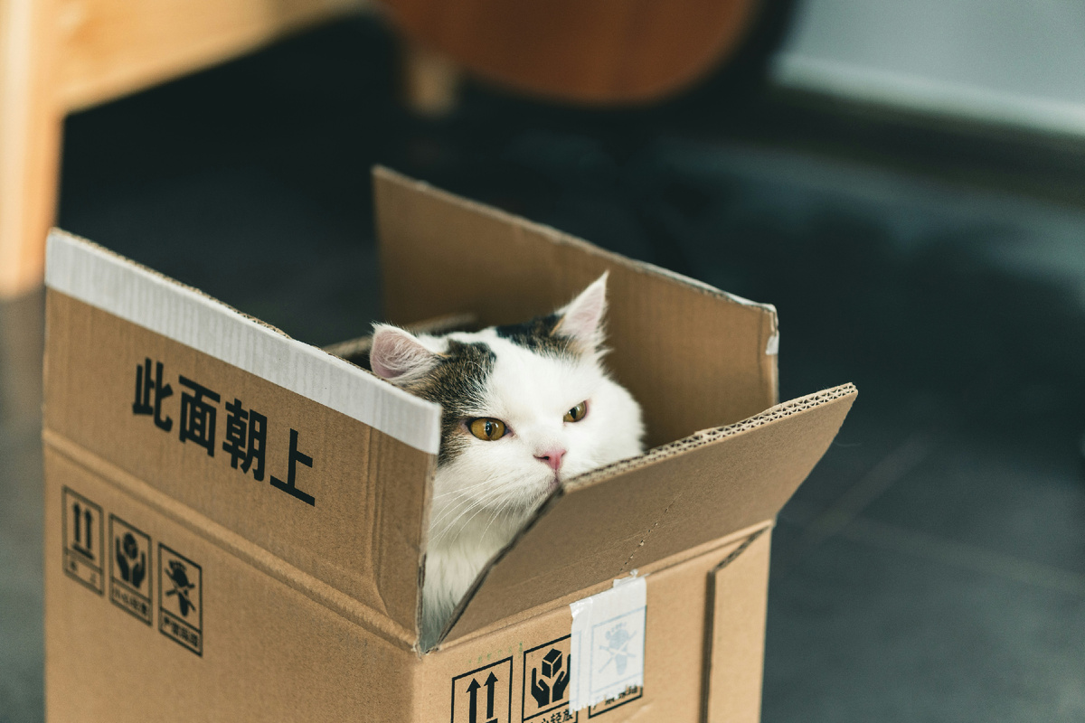 Photo by Jiawei Zhao on Unsplash