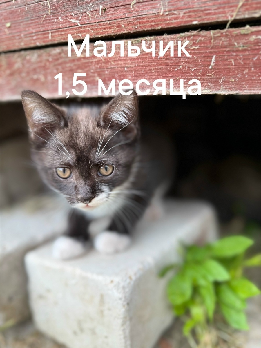 -2-2