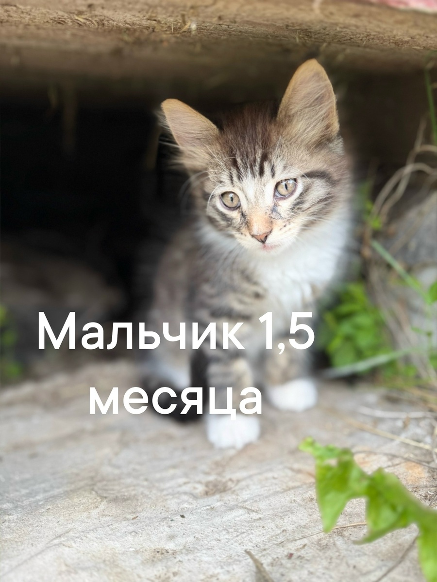 -2-3