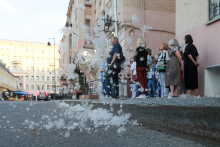     Фото: Василий Кузьмичёнок / Агентство «Москва»