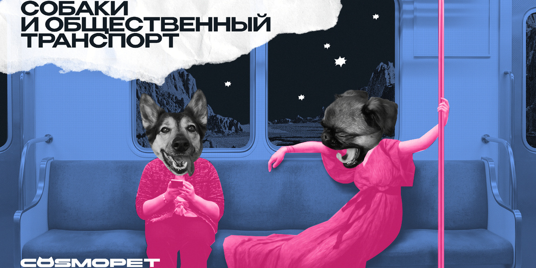 Никаких собак в автобусах!