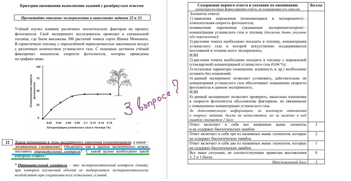 Демо-версия ЕГЭ по биологии-2025. Линия 22. Сайт ФИПИ