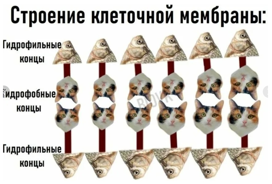 Вдогонку, для настроения