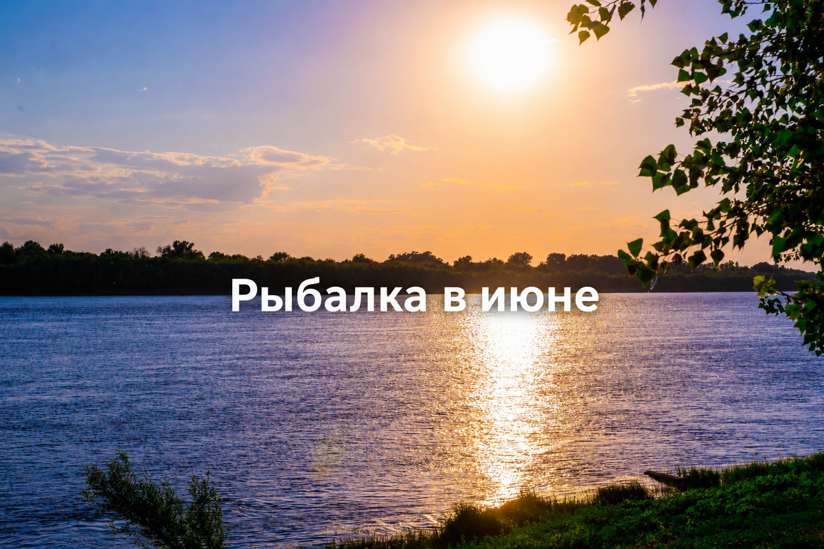 Рыбалка в июне: время тёплой воды и активного клёва