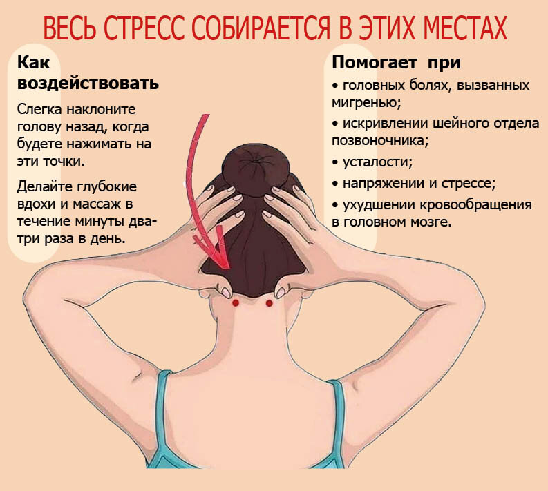 Фото: Инфографика: по материалам aikidzin.ru
