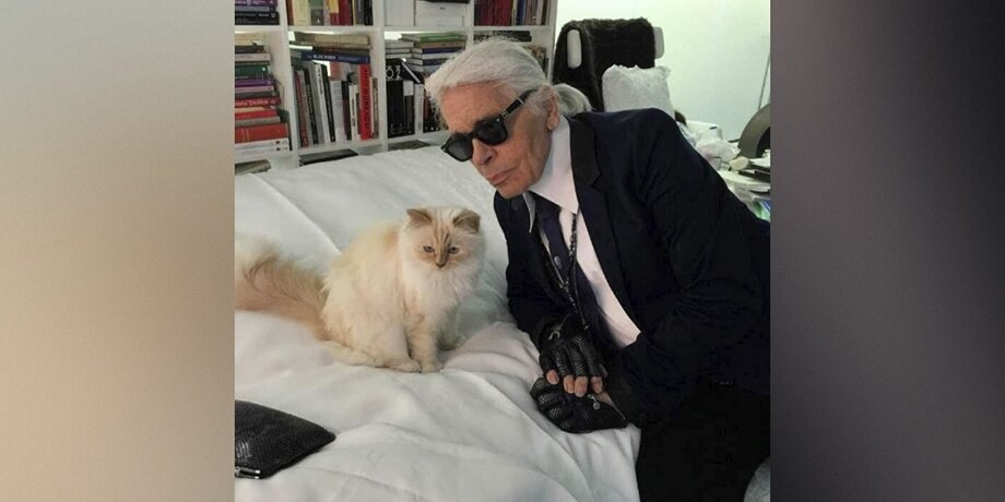    Фото: instagram.com (принадлежит Meta, признана экстремистской и запрещена на территории РФ)/choupetteofficiel