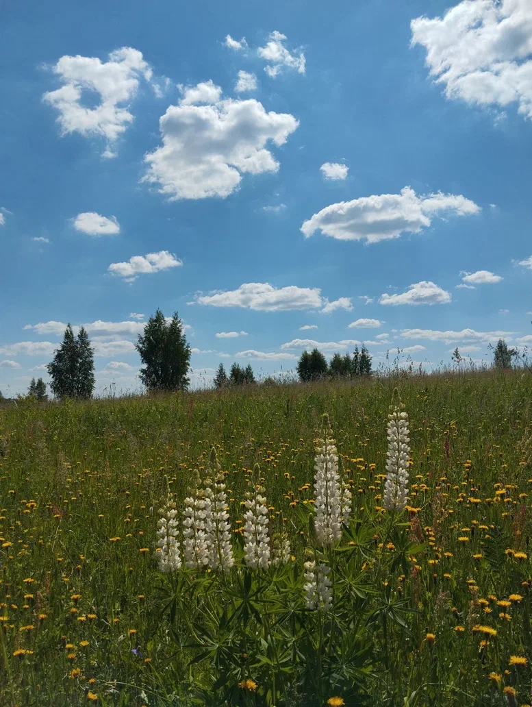 Вот такие фотки вполне зайдут