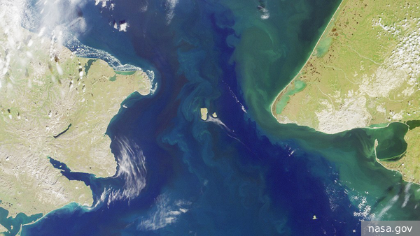     Фото: nasa.gov   
 Текст: Валерия Городецкая
