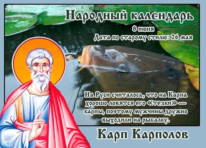 Из открытых источников
Карп Карполов 8 июня — удачный день для рыбаков