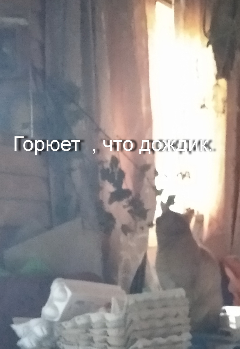личное.