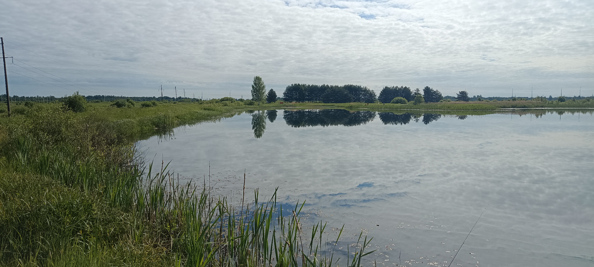 Берег водоёма. 