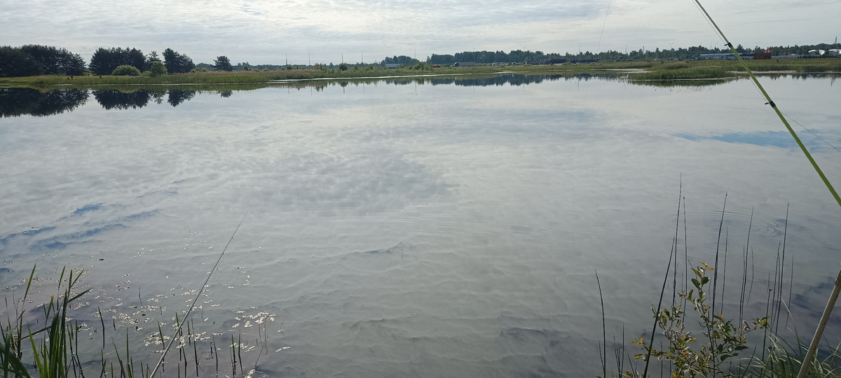 Водная гладь. 