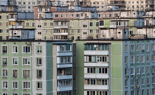 Фото: fifg / Shutterstock.com