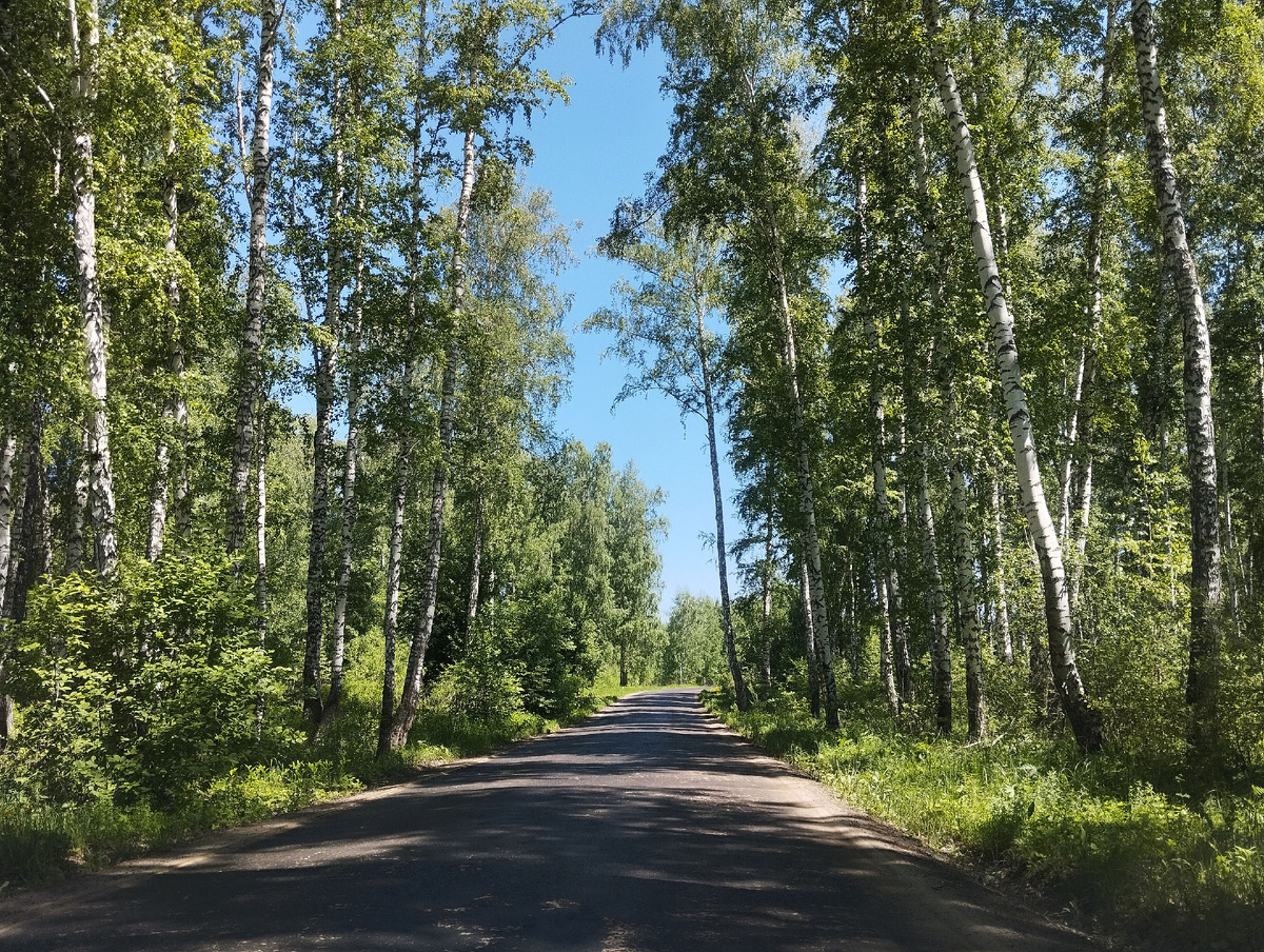 Погода сегодня прекрасная