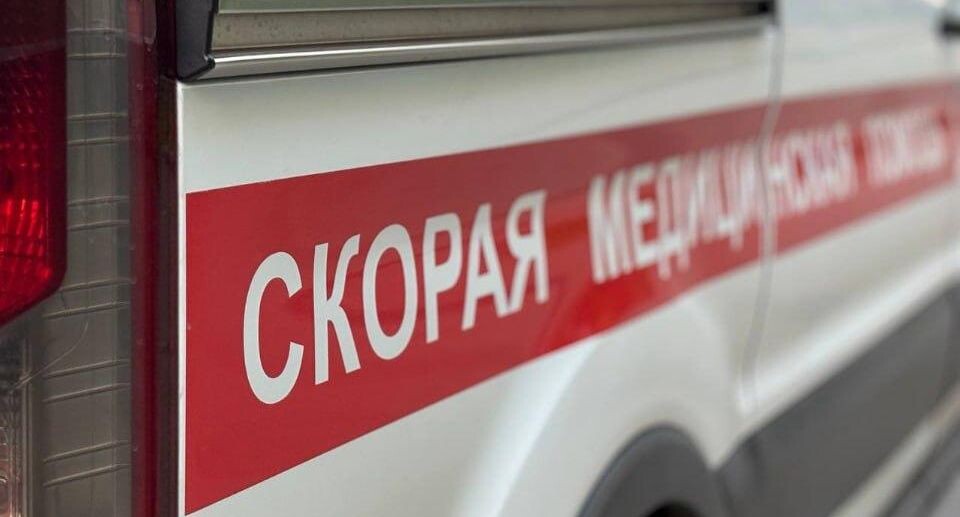    REGIONS/Полина Крачун