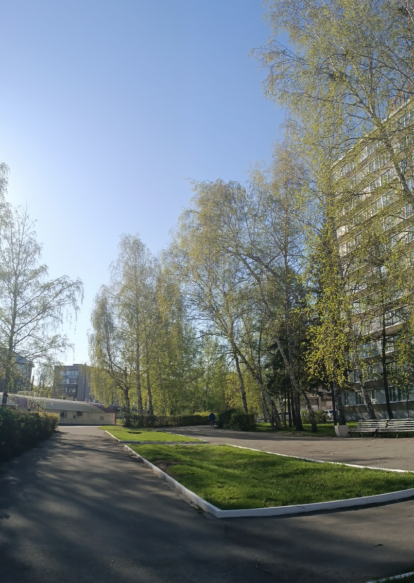 Где-то на просторах моего города. Фотография автора, июнь 2026 года. 