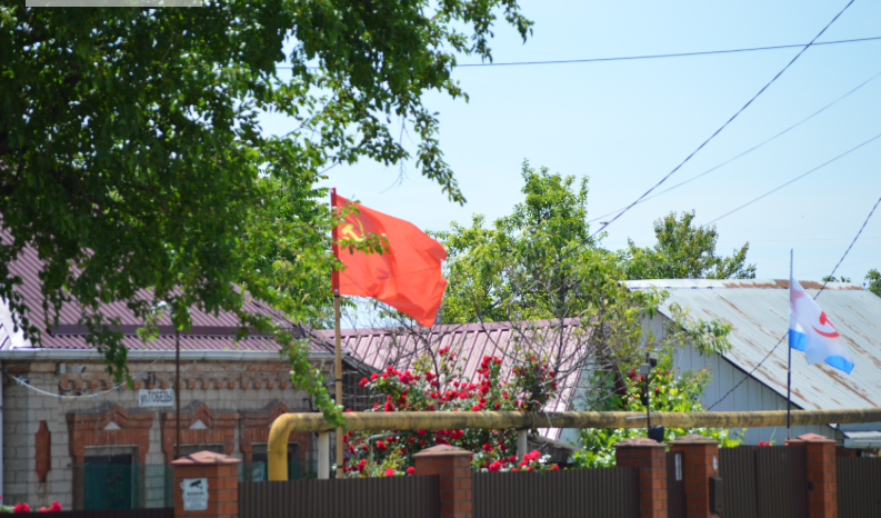 Фото автора. 03.06.2026. Пригород районного центра.