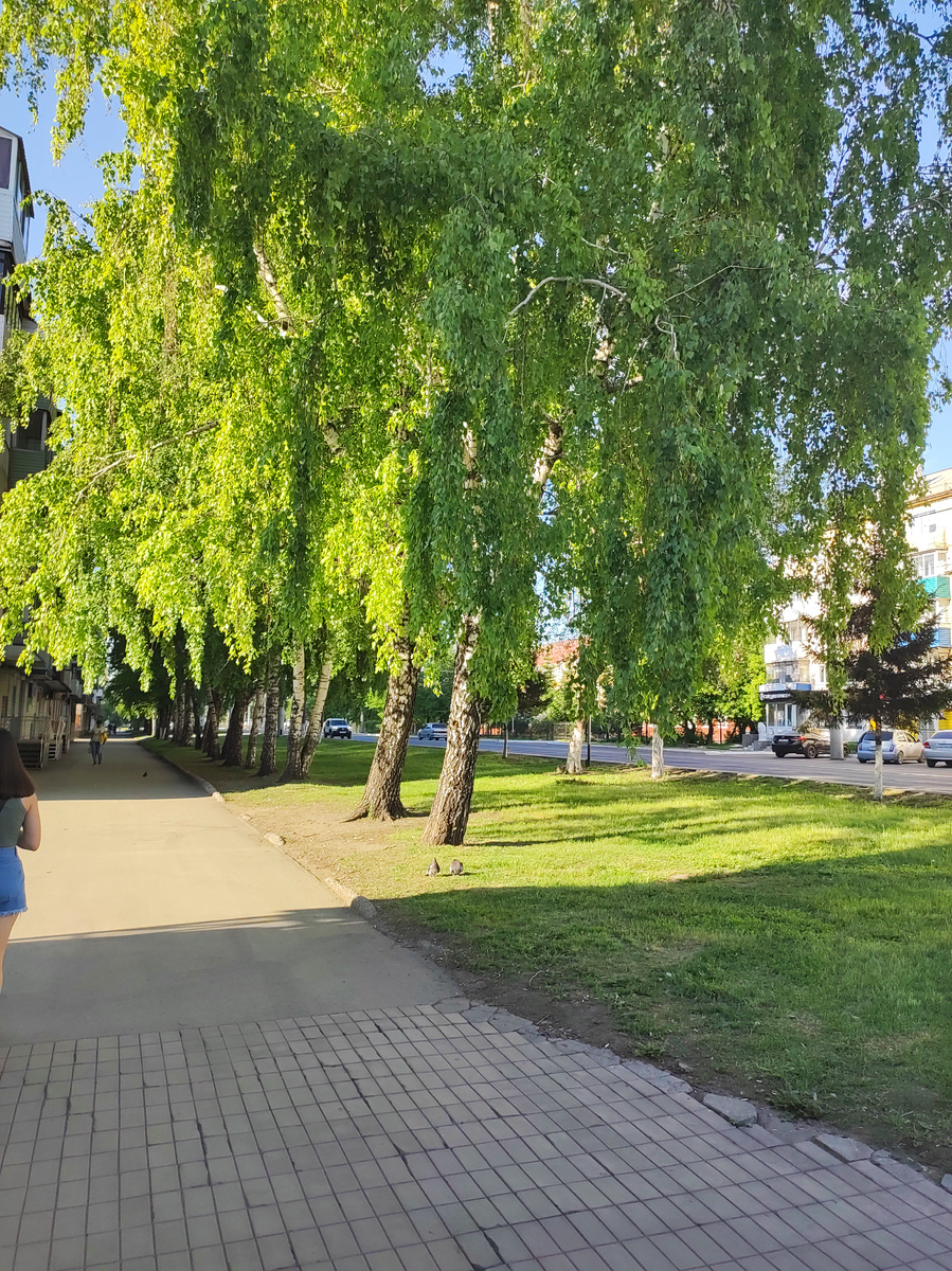 Фото автора 