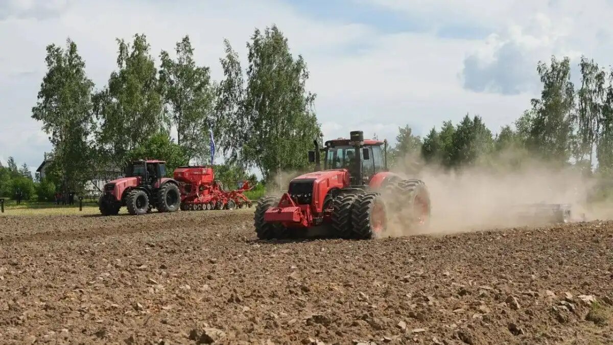 Фото: телеграм-канал (telegram-канал) BelarusTractors_official
Тракторы BELARUS от МТЗ продемонстрировали в деле на выставке БЕЛАГРО-2026