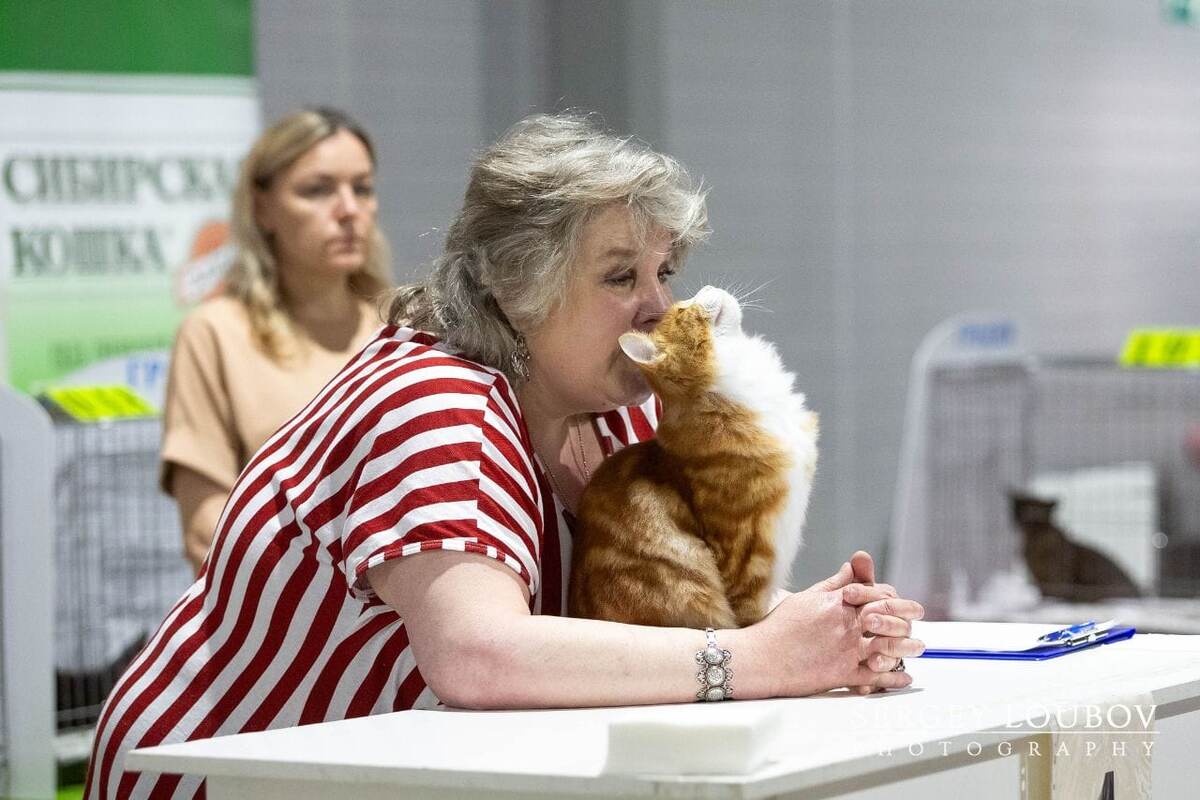 «Поговори со мной!»