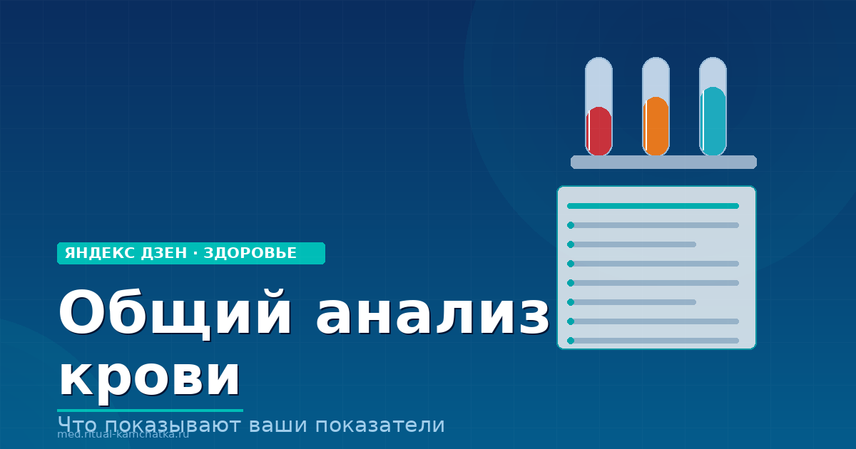 Общий анализ крови: что означает каждый показатель