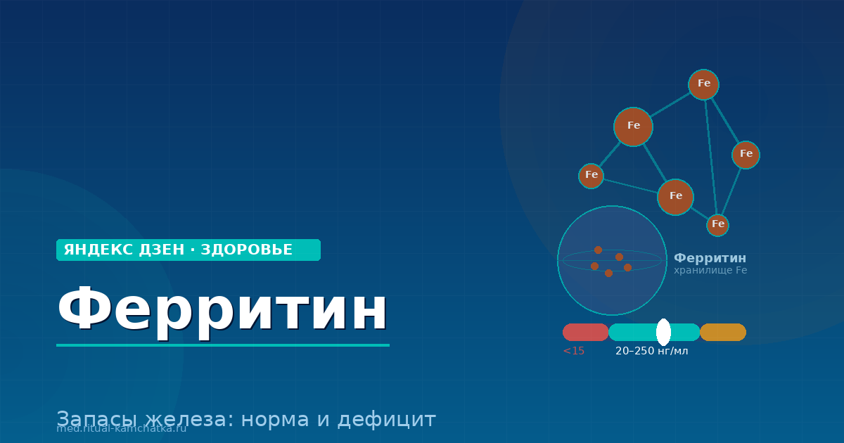 Ферритин: скрытый дефицит железа