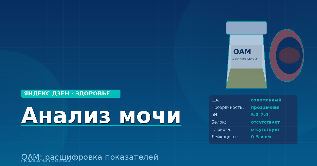 Общий анализ мочи: что скрывается за белком