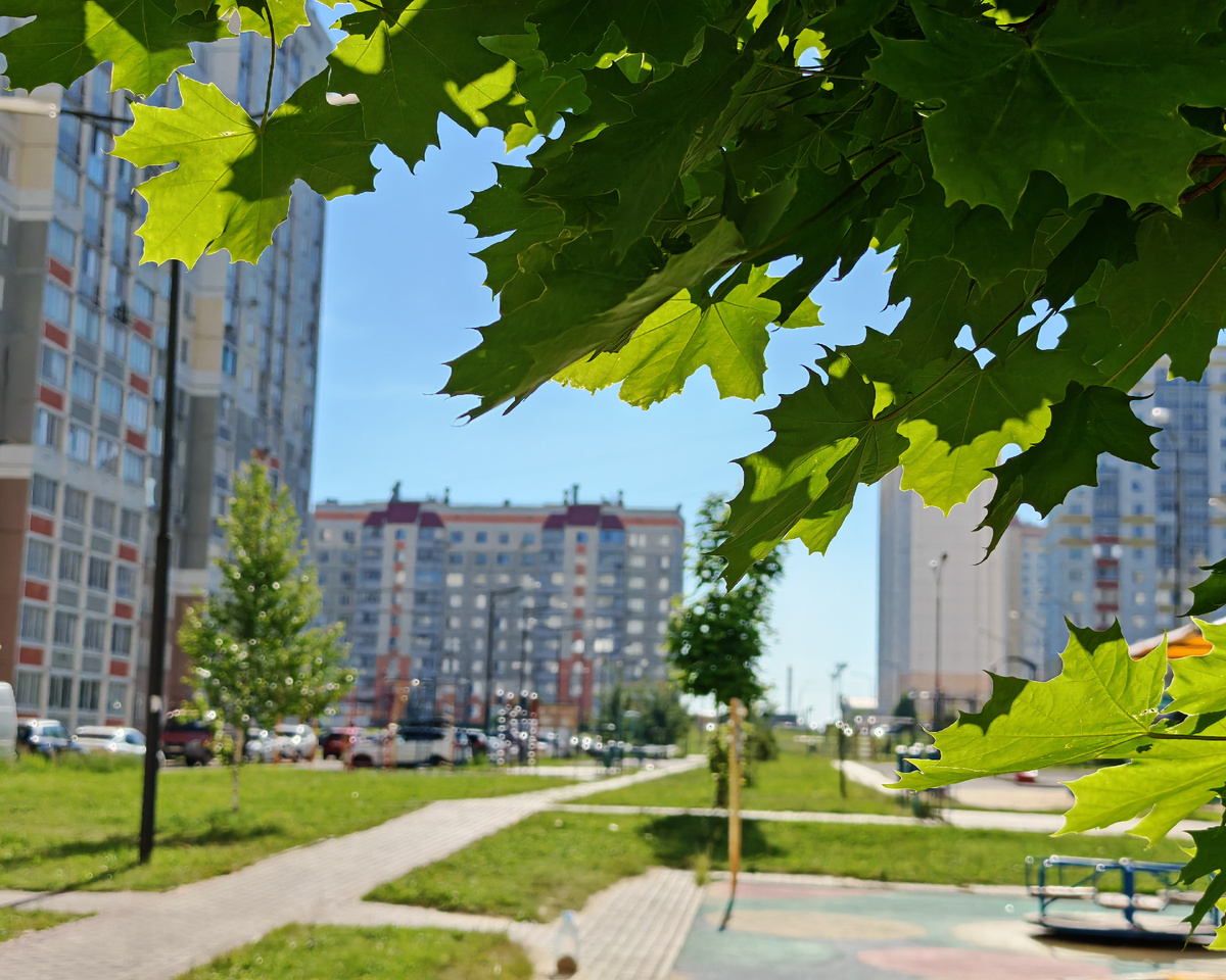 Фото автора канала. 