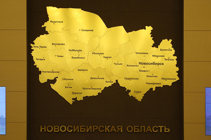 Жителей Новосибирской области приглашают в мобилизационный резерв для защиты критически важных объектов на территории региона