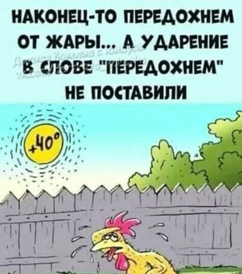 анекдоты про лето