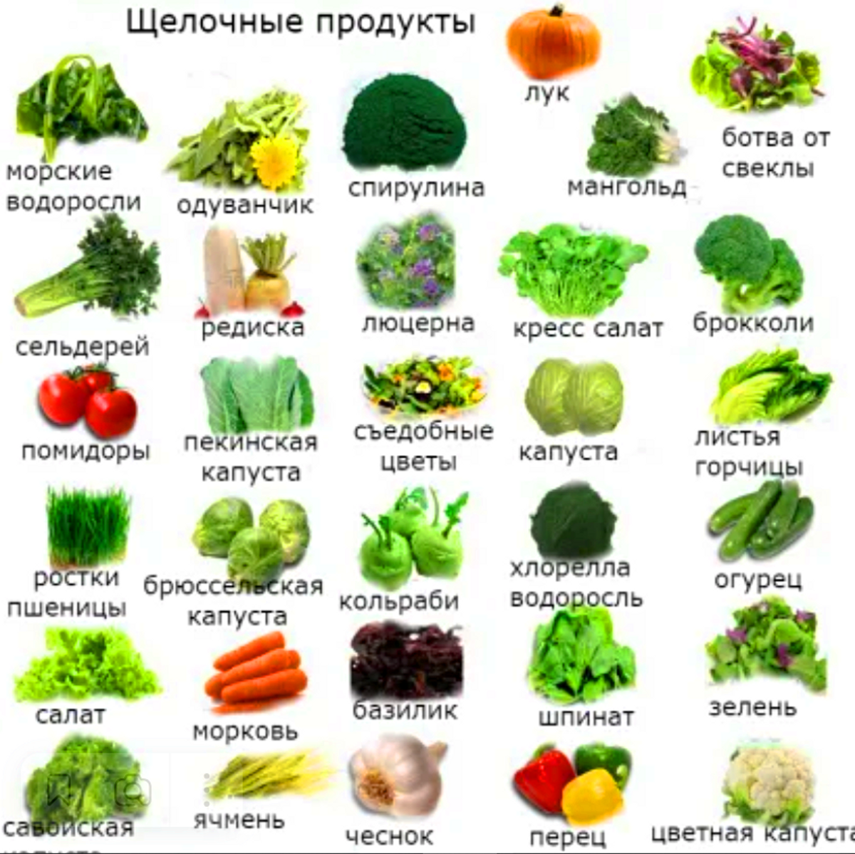 Для того чтобы организм мог правильно сигнализировать ему неодходимы знания.