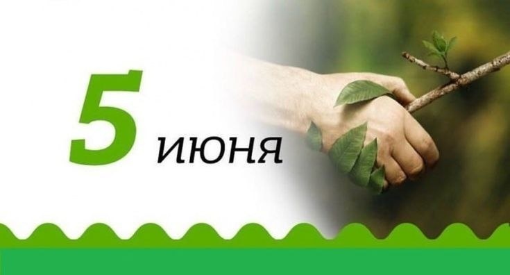 Прогноз астролога на 5 июня 2026 годаОвен ♈Не спорь с начальством - рискуешь проектом. К вечеру - свежая идея для карьерного рывка. Трать деньги с умом, а не с эмоциями.Телец ♉Пересмотри финансовые цели. Разговор с близкими вернёт тепло. В делах - только проверенные партнёры, лёгких денег не ищи.Близнецы ♊В переговорах держи козыри при себе. Крупные траты - только после совета старших. Рабочая поездка принесёт приятный бонус.Рак ♋Твоё настроение - твой доход. Вечер проведи дома в тишине, бытовые дела помогут отвлечься от тревог.Лев ♌Коллеги могут быть колючими - не принимай близко к сердцу. Избегай утренних споров, вечером планируй уютные выходные с семьёй.Дева ♍В любви - временная напряжённость, на работе - не экспериментируй. Во второй половине дня разберись со старыми долгами.Весы ♎Дипломатия и терпение в бизнесе. Возможны задержки в документах - не торопись. Вечером - душевный разговор с близкими.Скорпион ♏Самокритика мешает видеть успехи. Работай в паре - финансы пойдут в рост. Домашние хлопоты раздели на всех.Стрелец ♐Наведи порядок в делах и документах. Спокойная работа принесёт больше пользы, чем суета. Не спорь с родными о деньгах.Козерог ♑Желание всё контролировать велико, но не перегибай. Ставь достижимые цели по шагам. Близким нужно твоё внимание, а не подарки.Водолей ♒Время переоценить карьеру и контракты. Не бери на себя лишнего, сделай пару дел идеально. К вечеру - неожиданная финансовая помощь.Рыбы ♓Факты прежде идей! Выходные посвяти близким и дому, рабочие звонки отложи. Душевное равновесие - залог успеха!