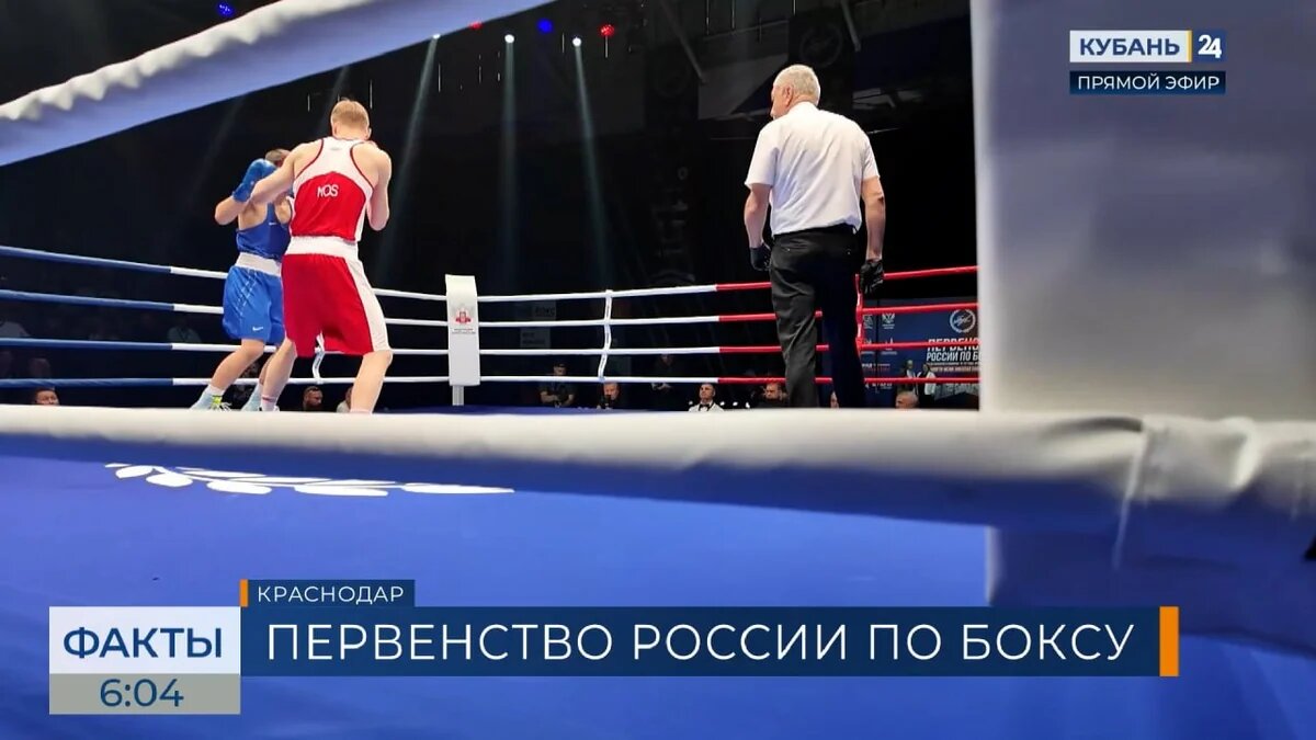    Скриншот видео телеканала «Кубань 24»