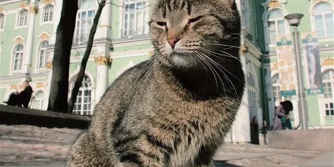 Эрмитажные коты: Усатый спецназ на страже мирового искусства