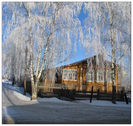 Берёза у дома Фото из открытого доступа