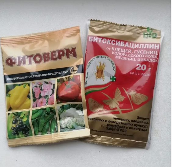 Биопрепараты от колорадского жука