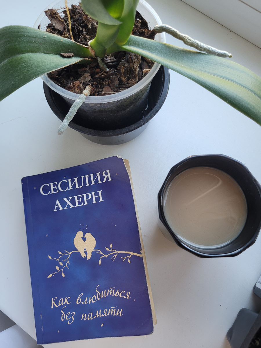 Дочитала книгу. Концовка отличная. В следущй статье напишу рецензию. 