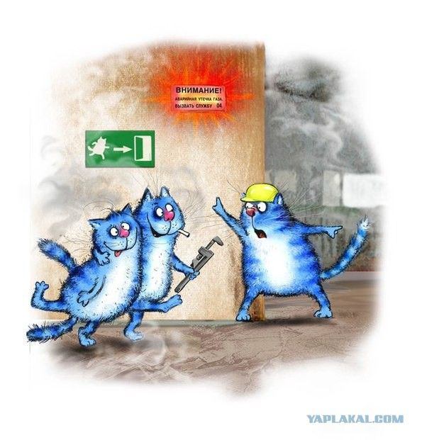 очаровательные коты Рины Зенюк