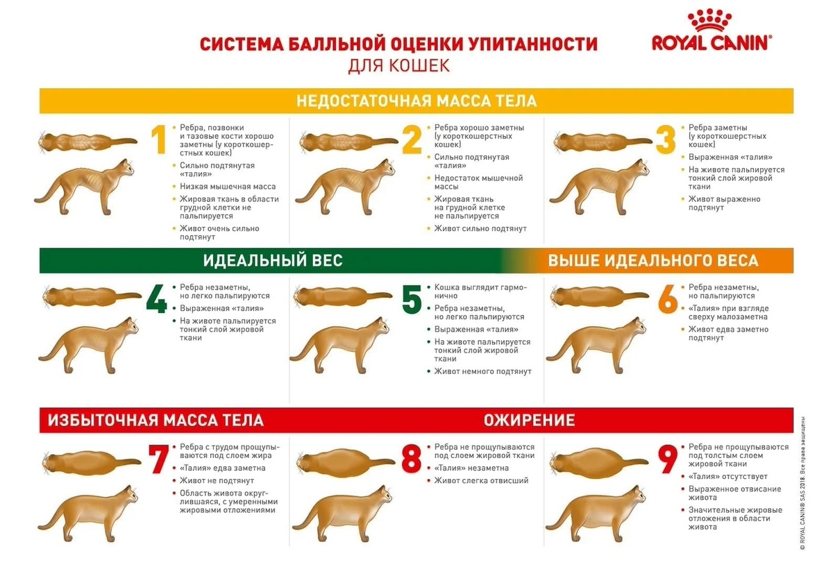 Из Интернета. 